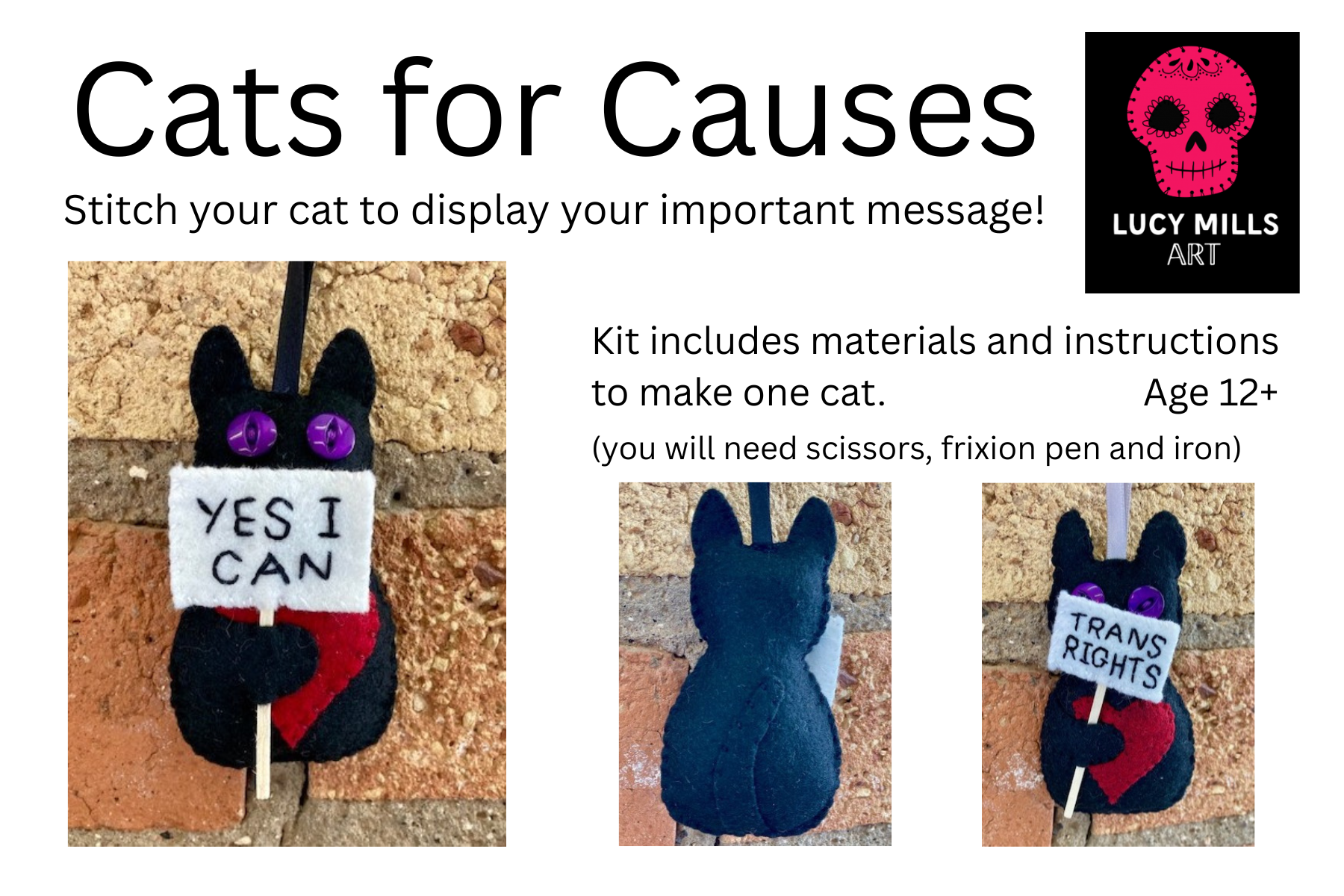 Cats for Causes outer info
